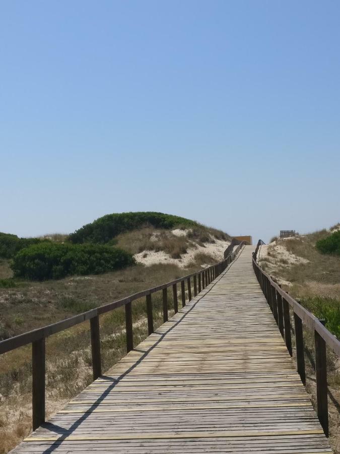 דירות אבאירו Casa Da Ilha Dos Ovos מראה חיצוני תמונה